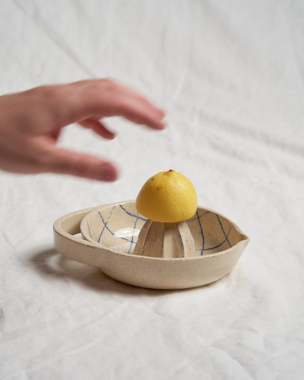 Citrus Squeezer