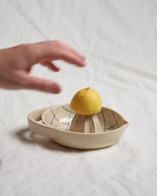Citrus Squeezer